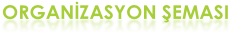 ORGANİZASYON ŞEMASI